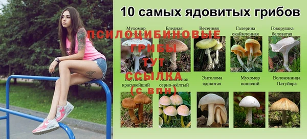 синтетический гашиш Михайловка