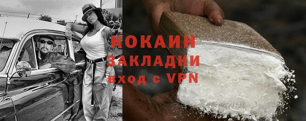 индика Аша