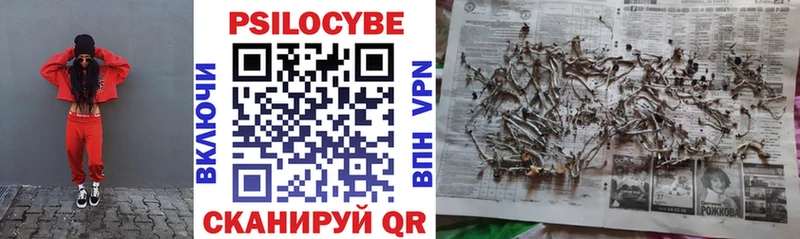 Галлюциногенные грибы прущие грибы  Жуковский 