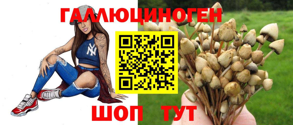 Псилоцибиновые грибы GOLDEN TEACHER Жуковский
