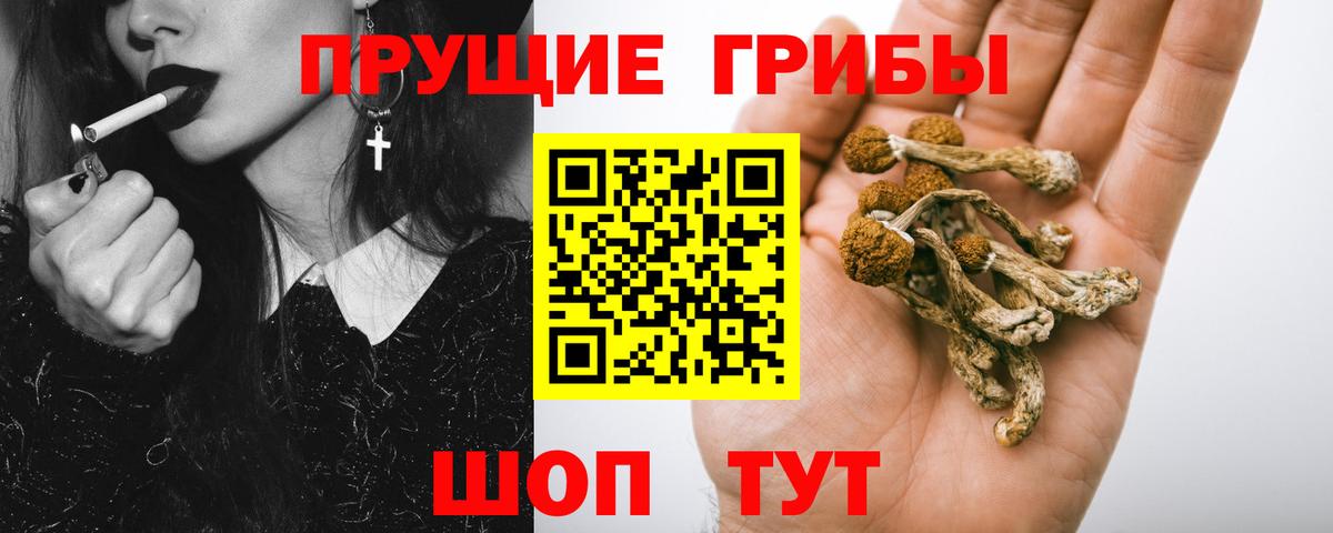 Жуковский  Галлюциногенные грибы MAGIC MUSHROOMS  Вход с VPN 